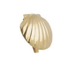 Scallop Shell Door Knocker - Various Finishes