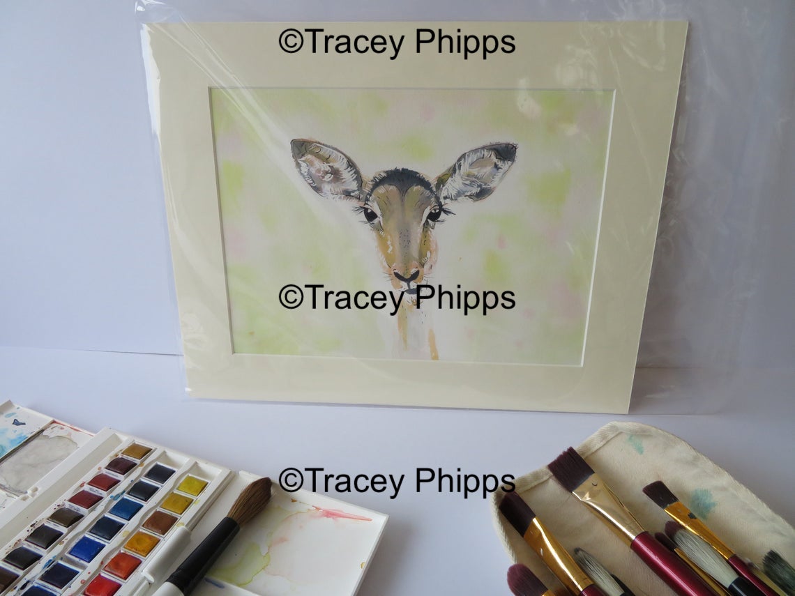 Impala watercolour