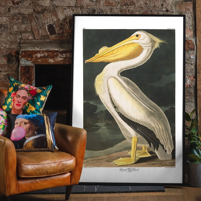 American White Pelican Vintage Antique Portrait Print