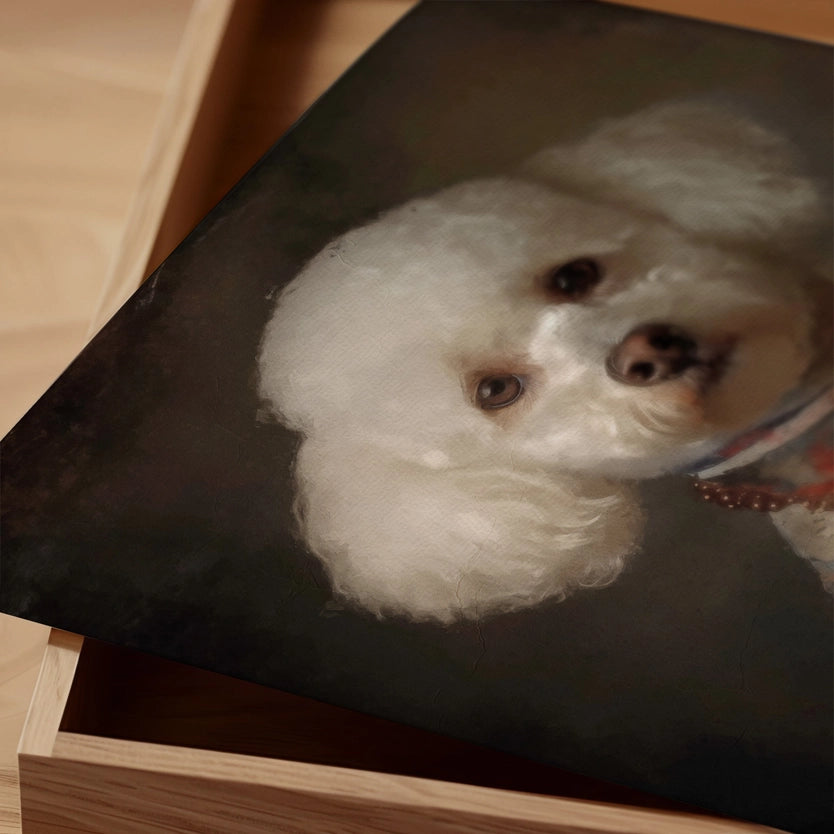 Bichon Frise Dog Portrait Print