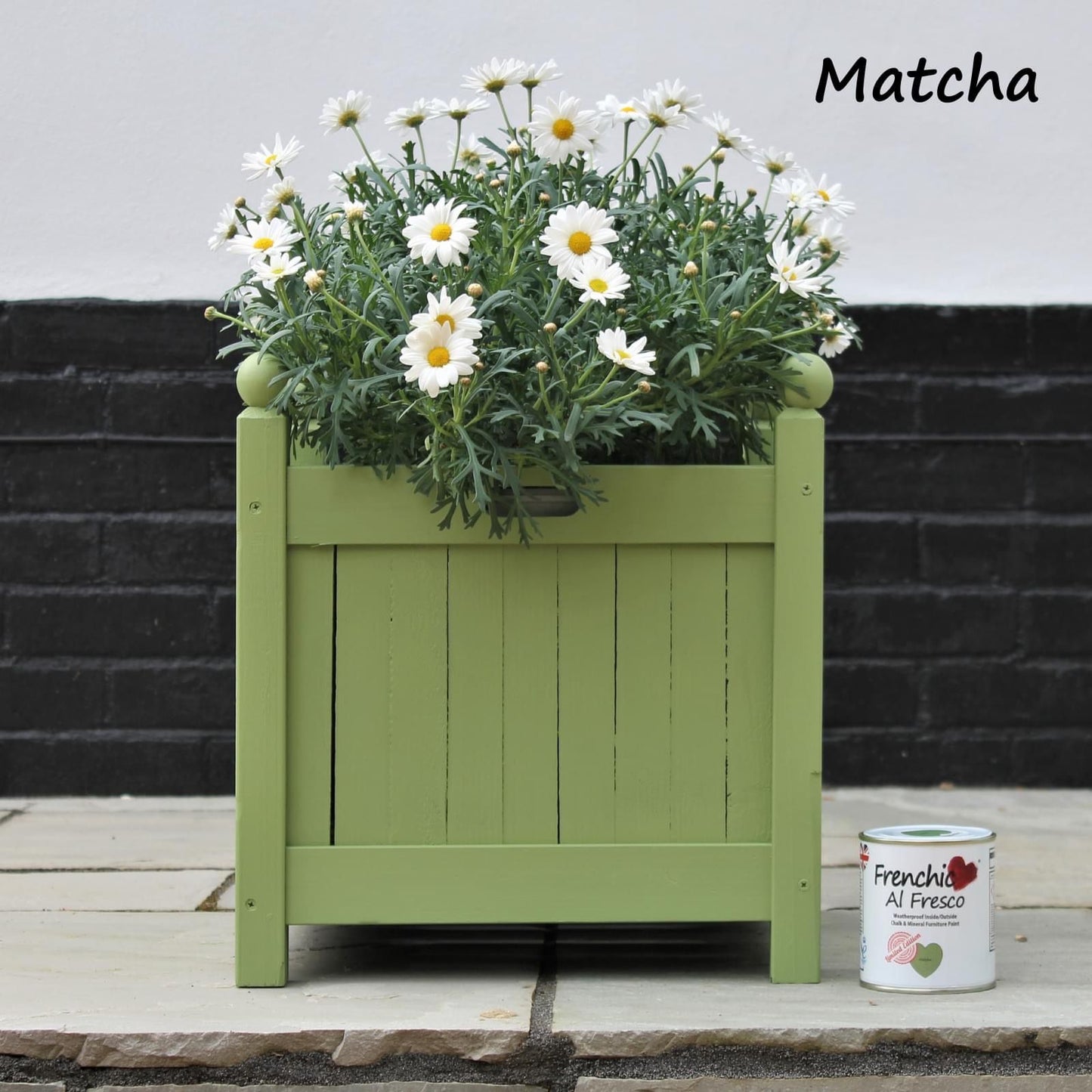 Matcha LIMITED EDITION