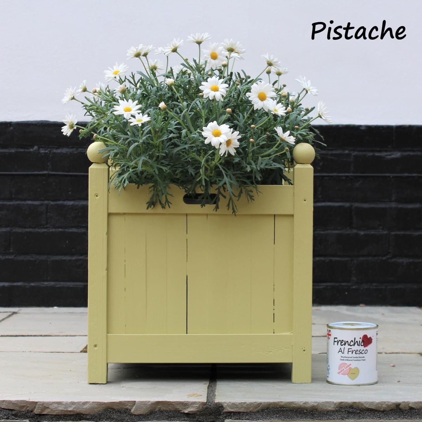 Pistache LIMITED EDITION