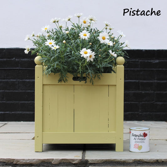 Pistache LIMITED EDITION