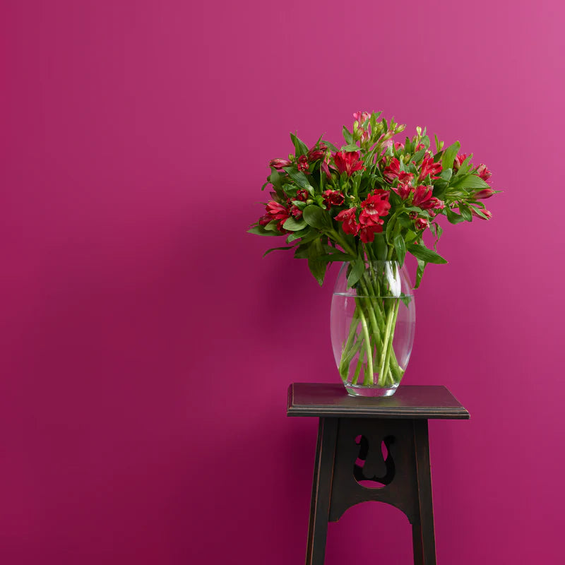 Plum Pudding - Peel & Stick Paint Sample