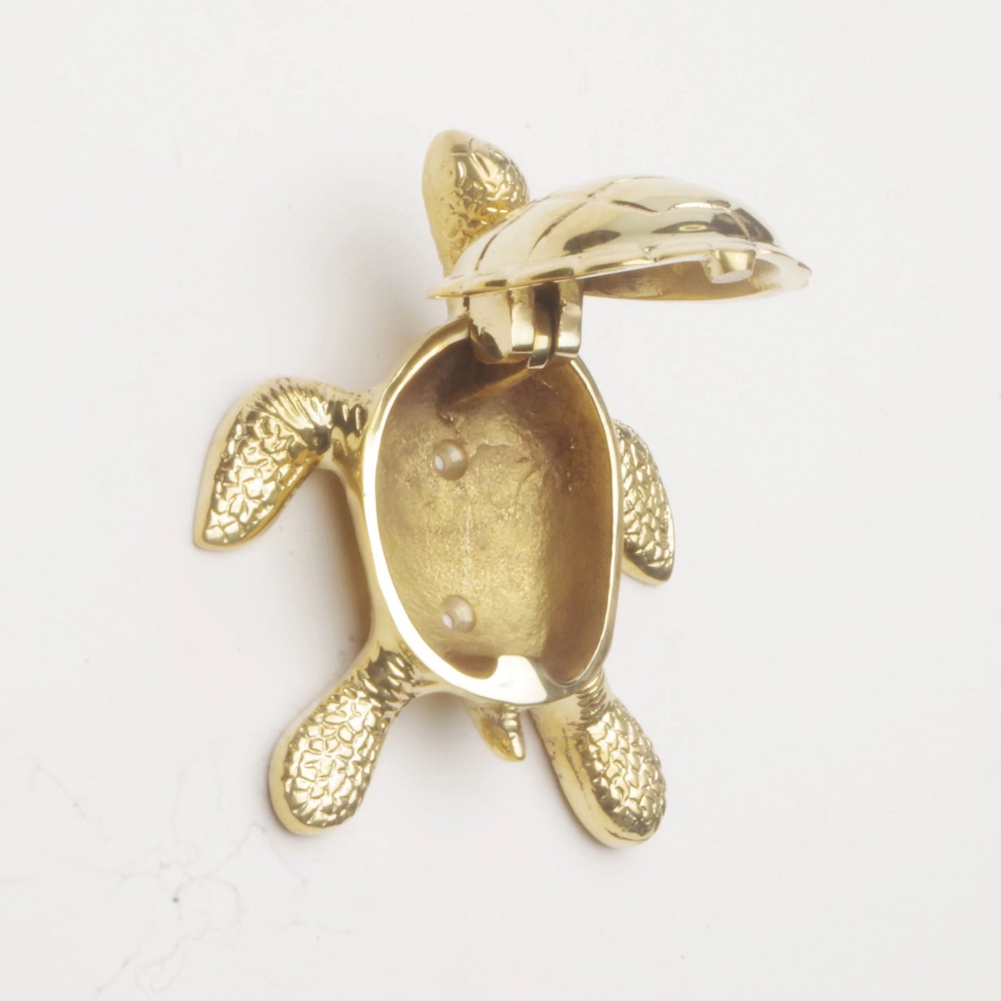 Turtle Door Knocker - Polished Brass or Chrome Finish