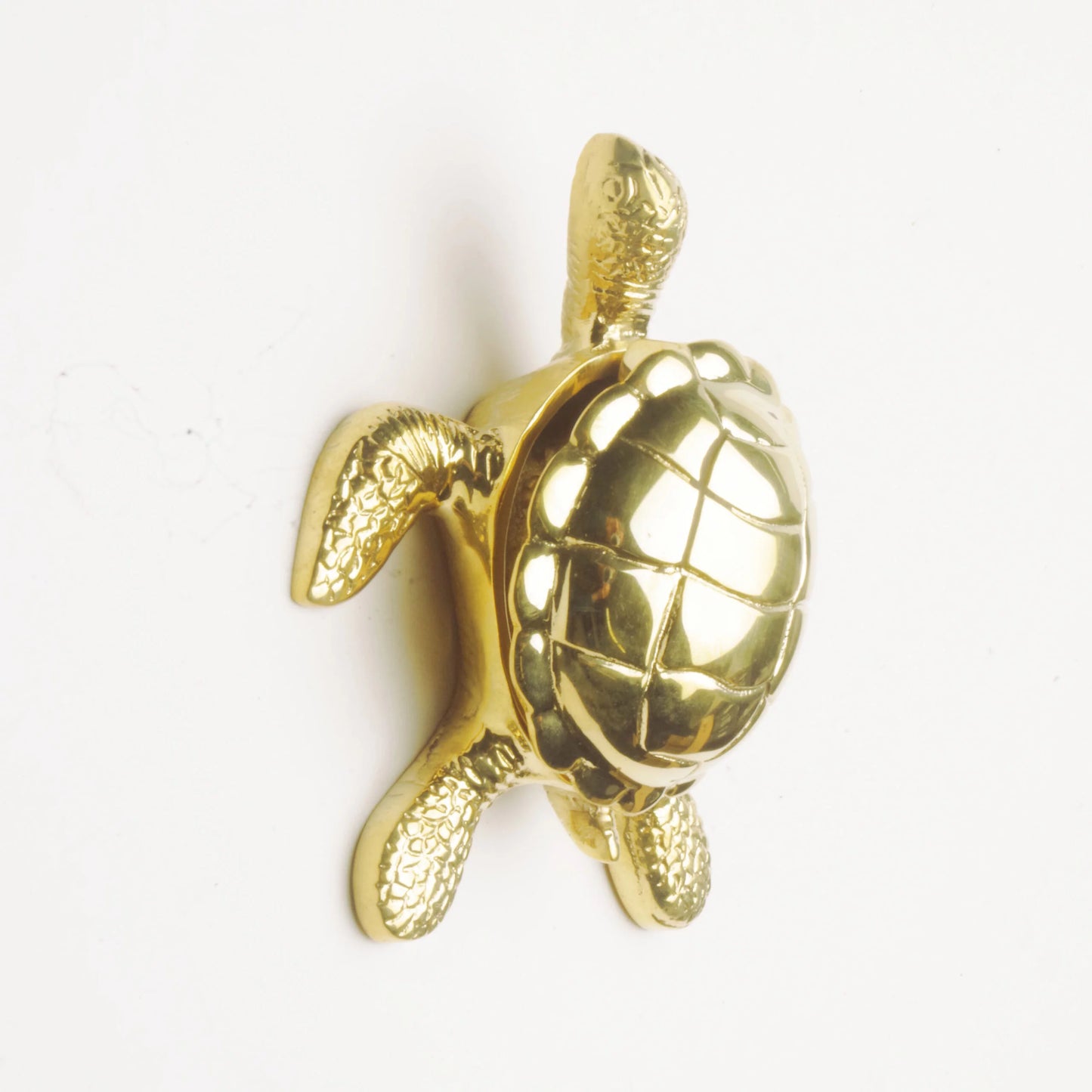 Turtle Door Knocker - Polished Brass or Chrome Finish