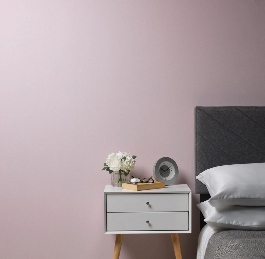 Ballerina Wall Paint