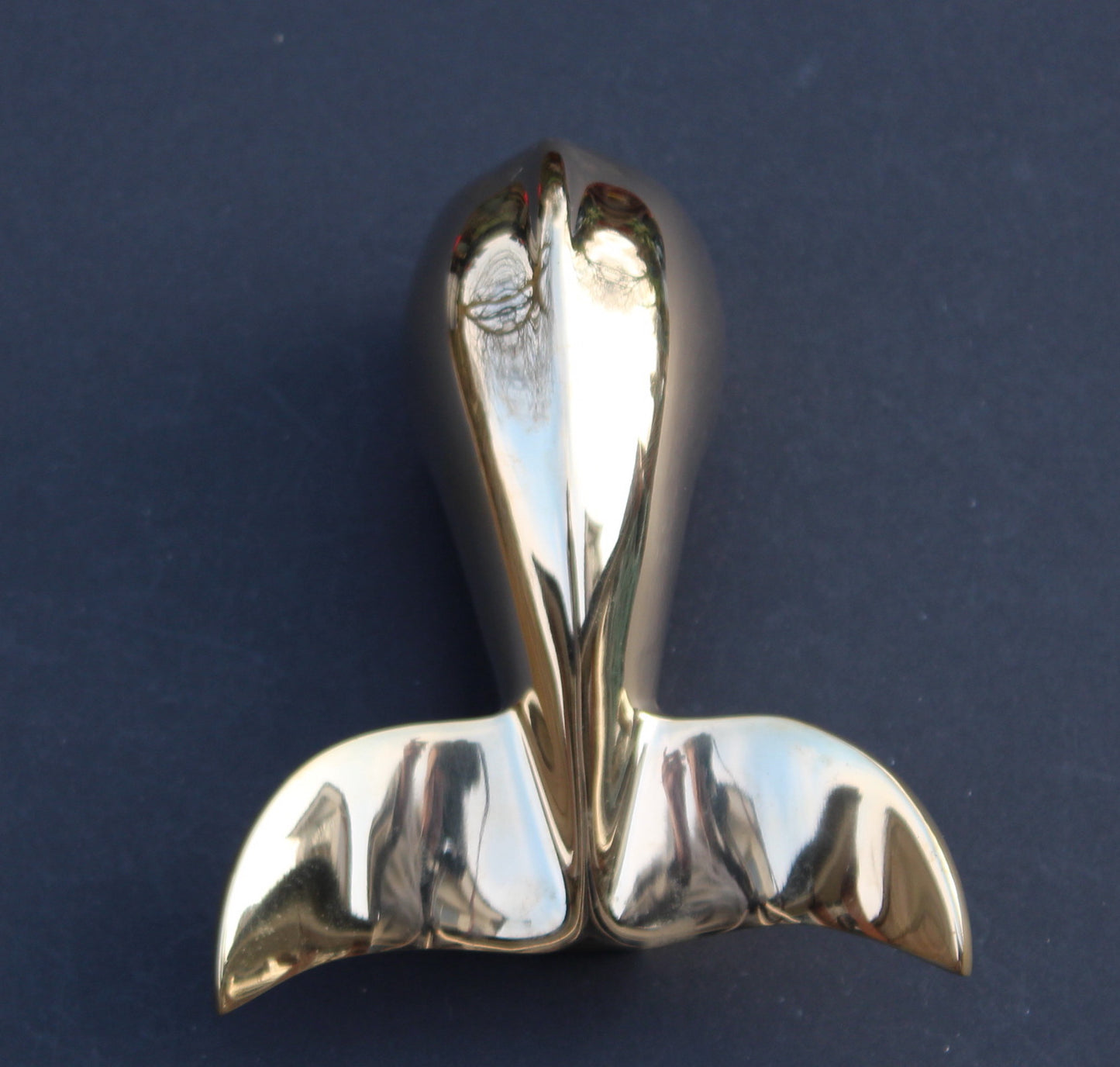 Whale Tail Door Knocker - Brass Finish