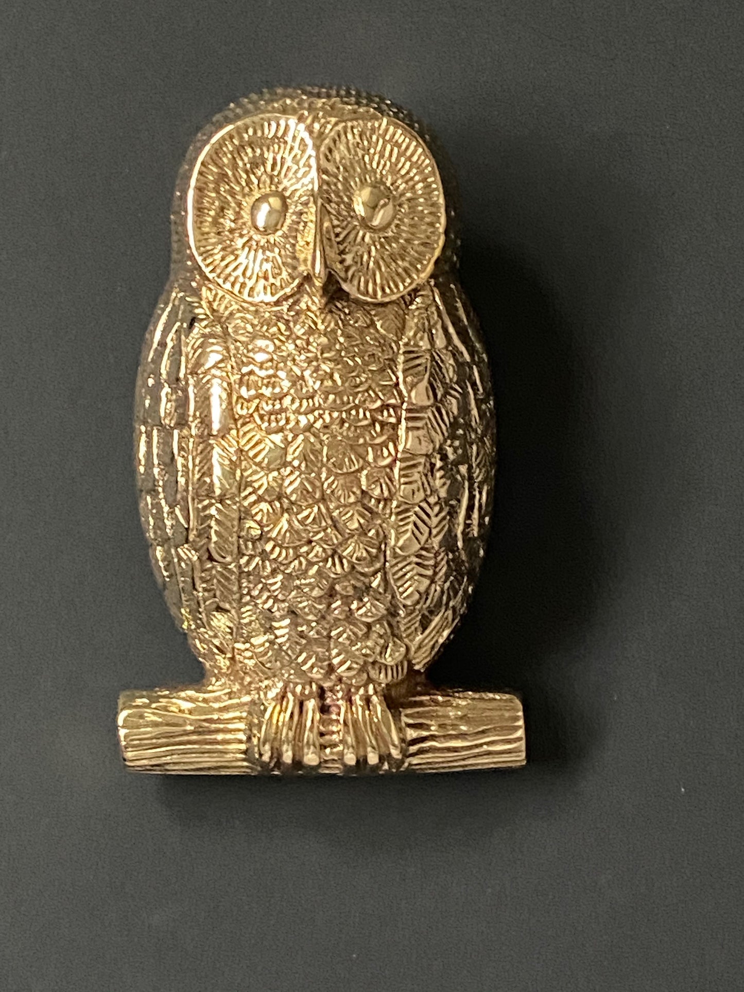 Owl Door Knocker - Various Finishes