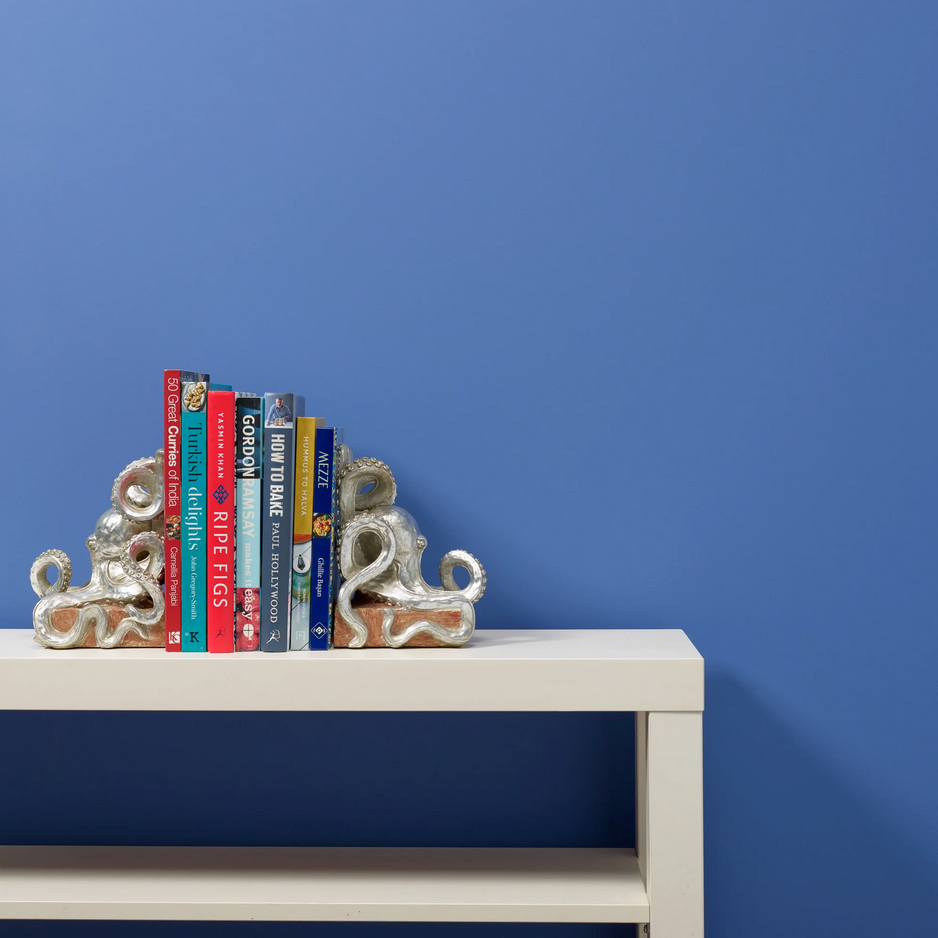 Pool Boy Wall Paint Sample