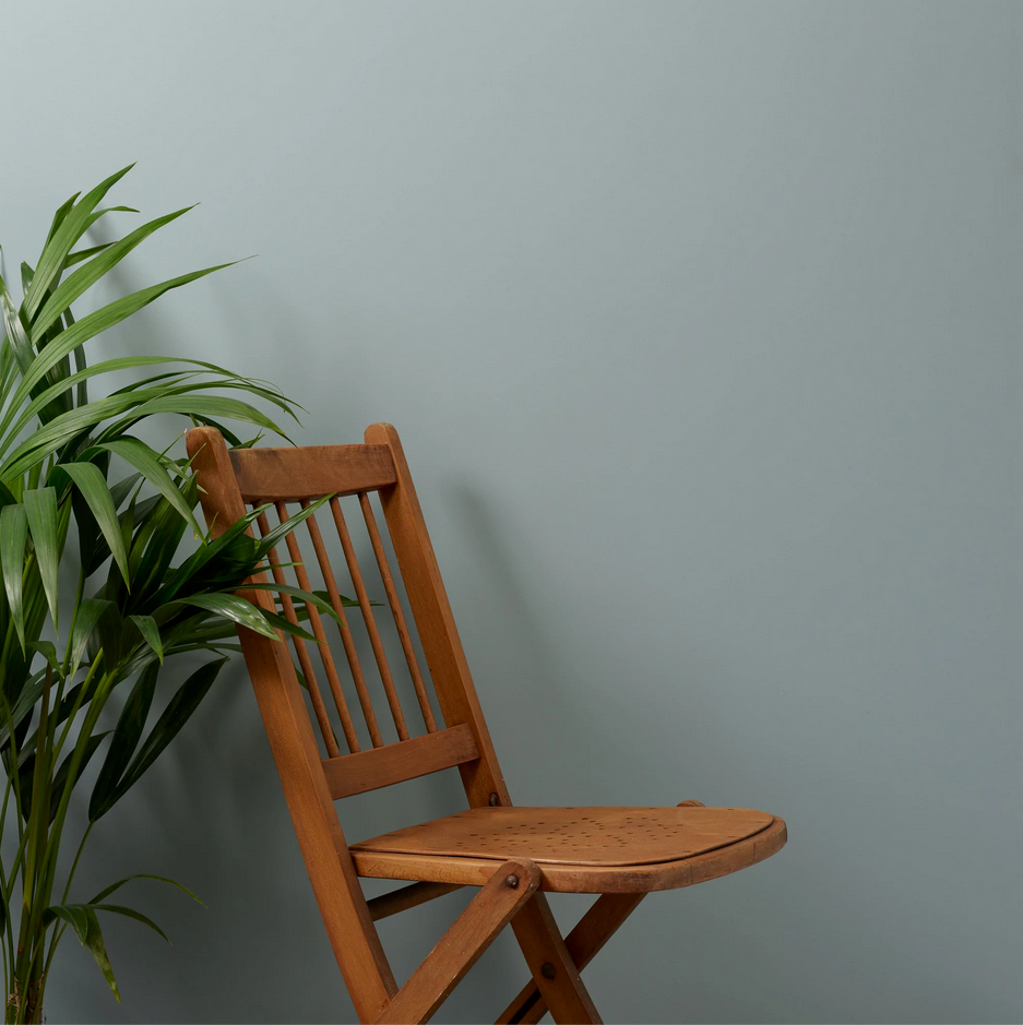 Scotch Mist Wall Paint Sample