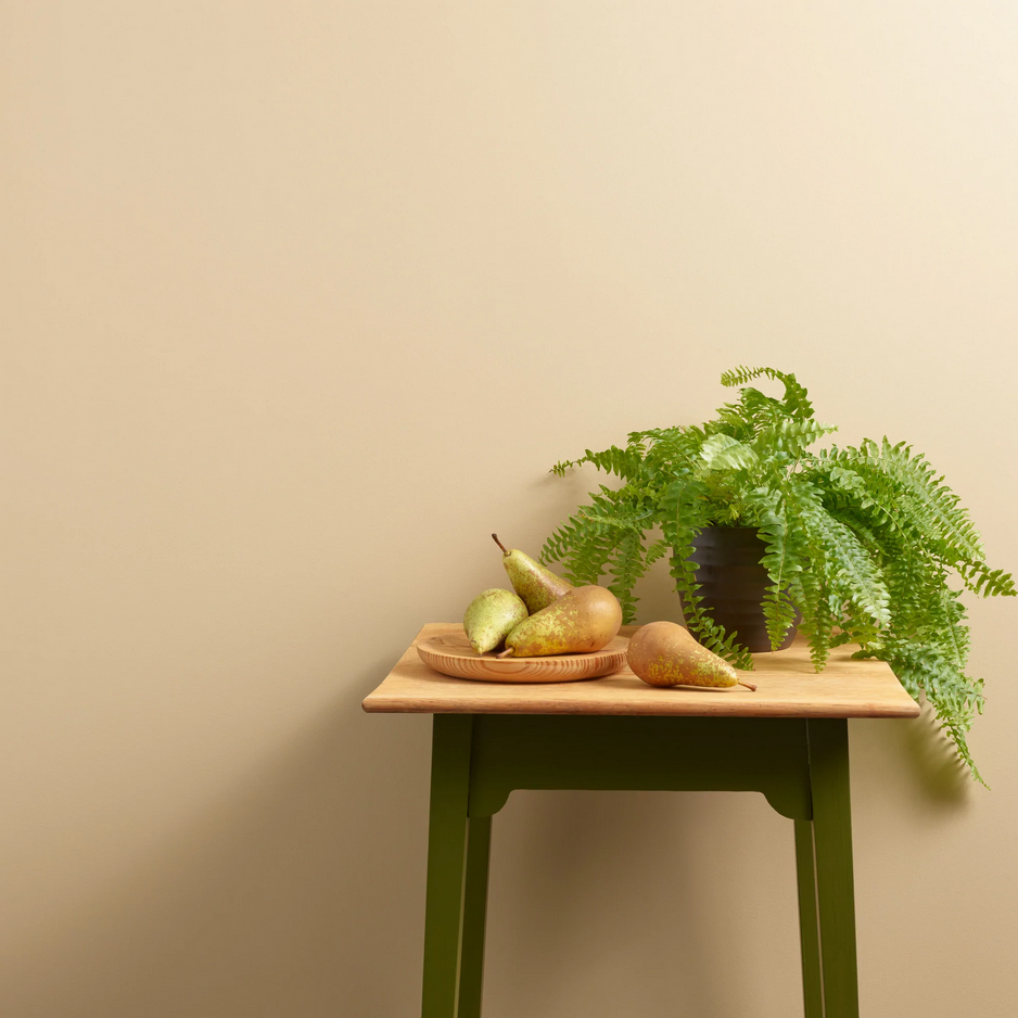 Take The Biscuit Trim Paint