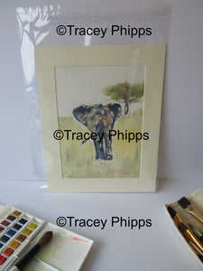 Baby Elephant watercolour