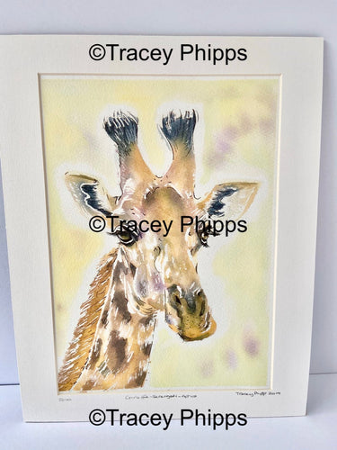 Giraffe watercolour