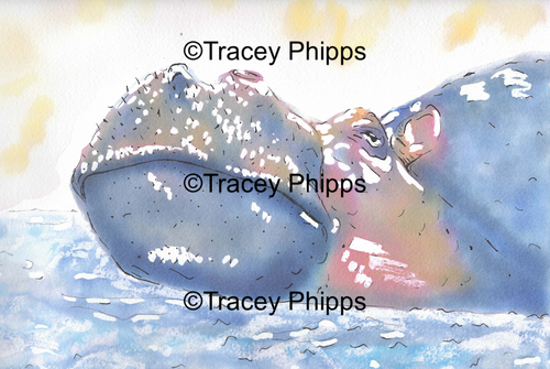 Hippo watercolour