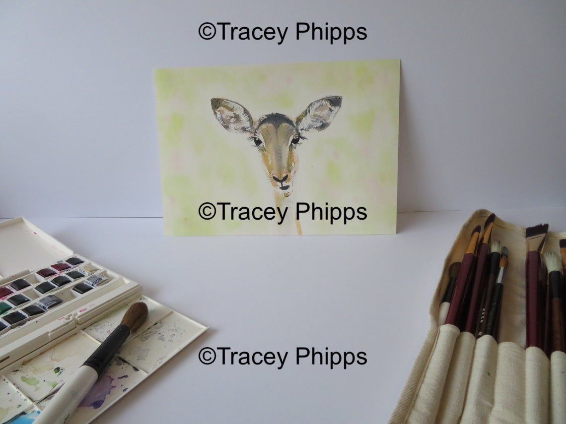 Impala watercolour