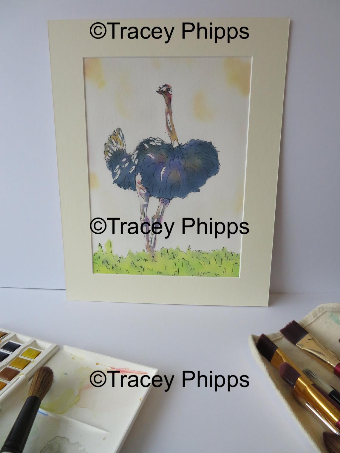 Ostrich watercolour