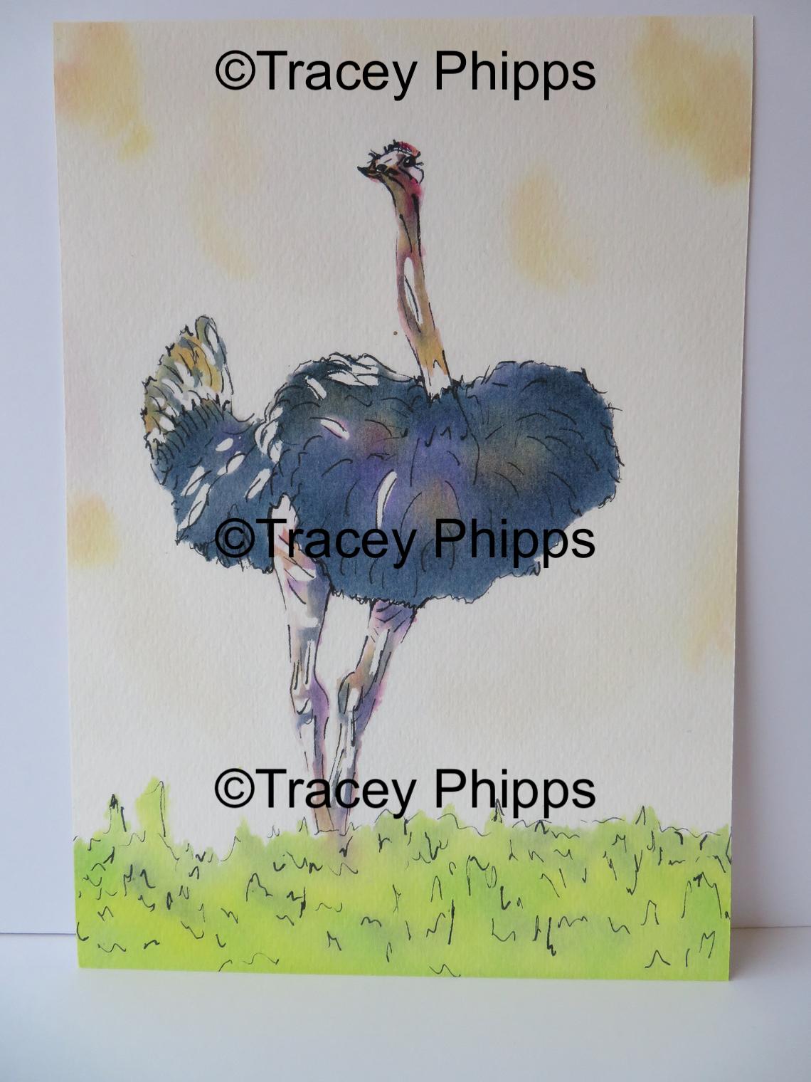 Ostrich watercolour