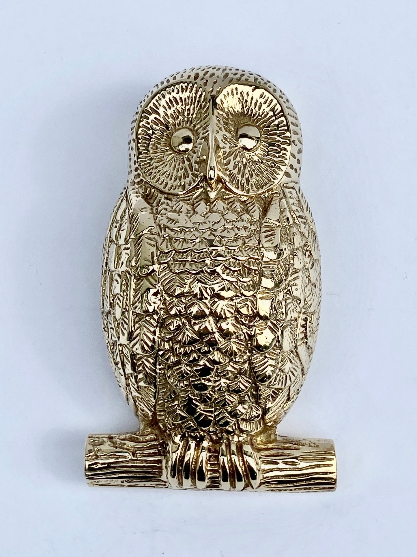 Owl Door Knocker - Various Finishes