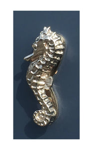 Seahorse Door Knocker - Various Finishes