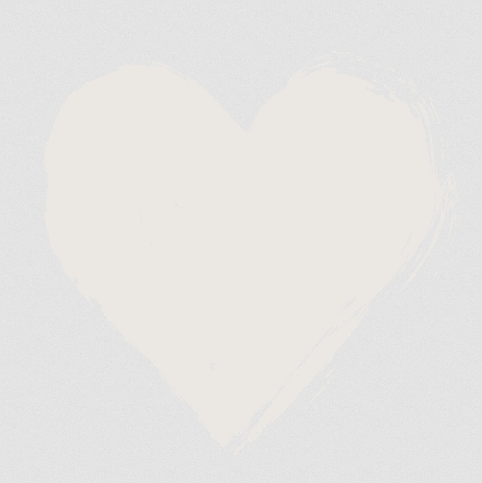 Silver Birch Wall Paint