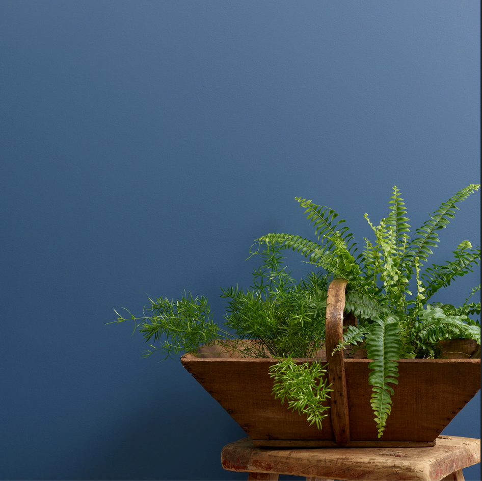 Smooth Operator Wall Paint
